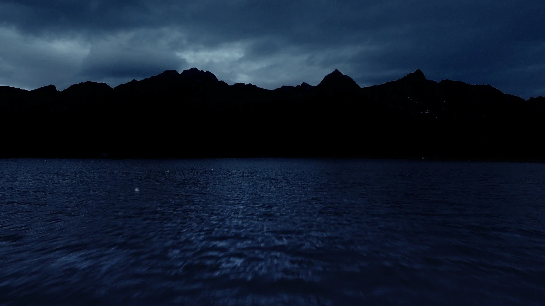 matt kleiner nature film