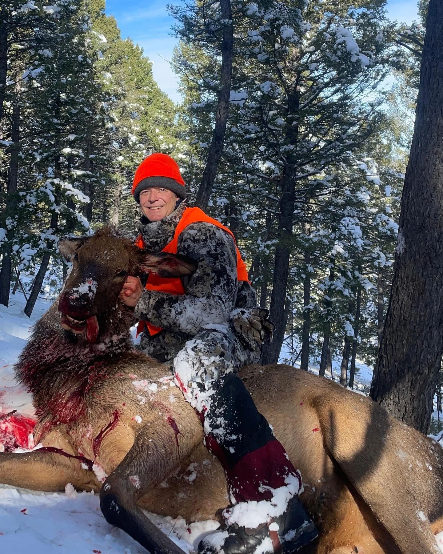 My 2023 Elk season came to an end on Hallows Eve. At daybreak, I glassed 2 wolves at only 200 yards, one of which was radio collared. I didn&rsquo;t think the day would be productive with wolves nearby! But, I continued up the mountain where I found 