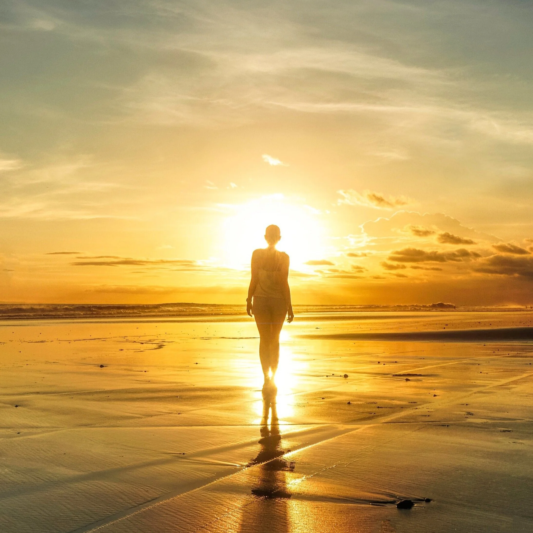 backlit-beach-dawn-2123175.jpg
