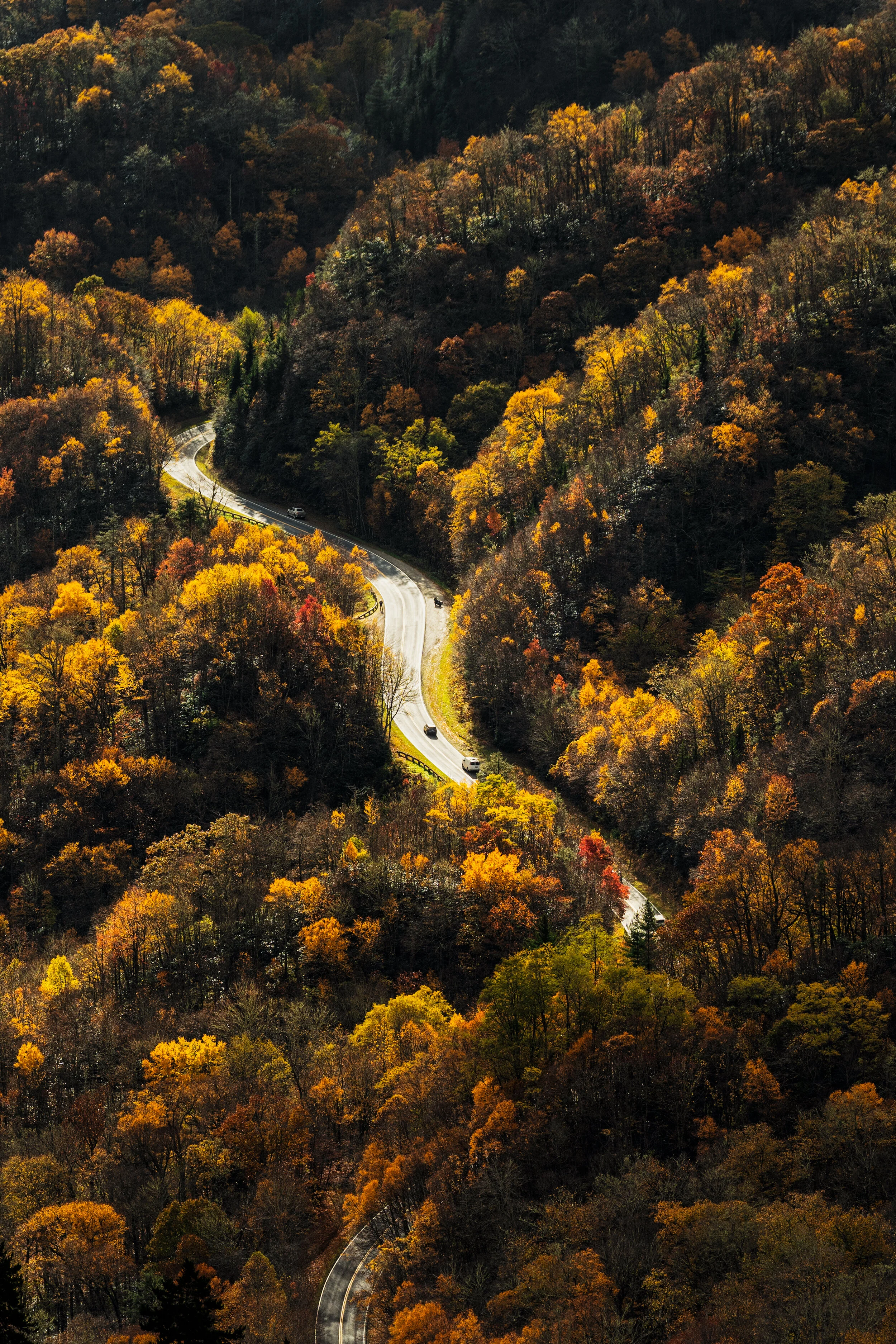 _DSC4417-Edit-Edit.JPG