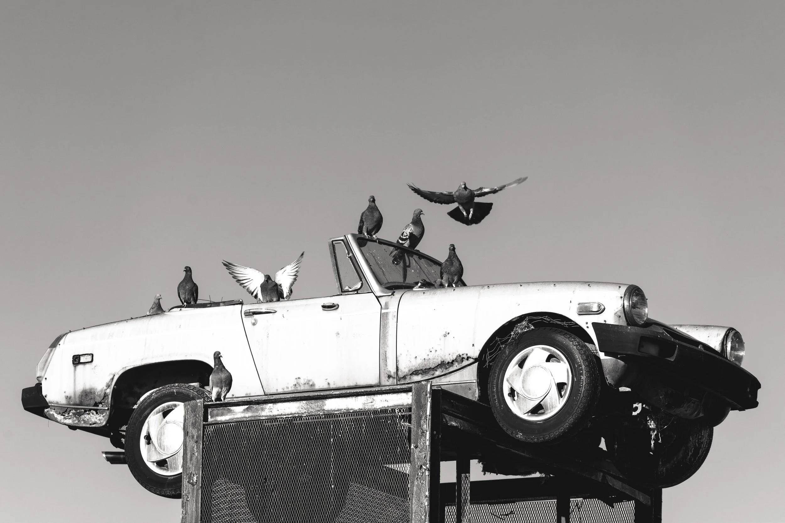 Rust and Wings
