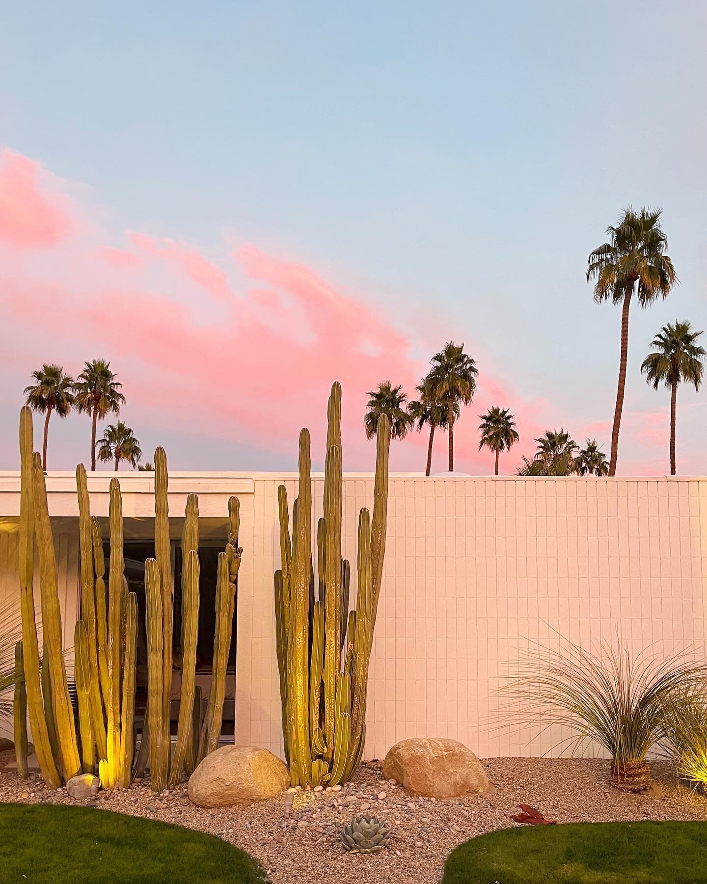 desert treasures 🌵🌙 with a guest appearance from richard neutra&rsquo;s kaufmann desert house