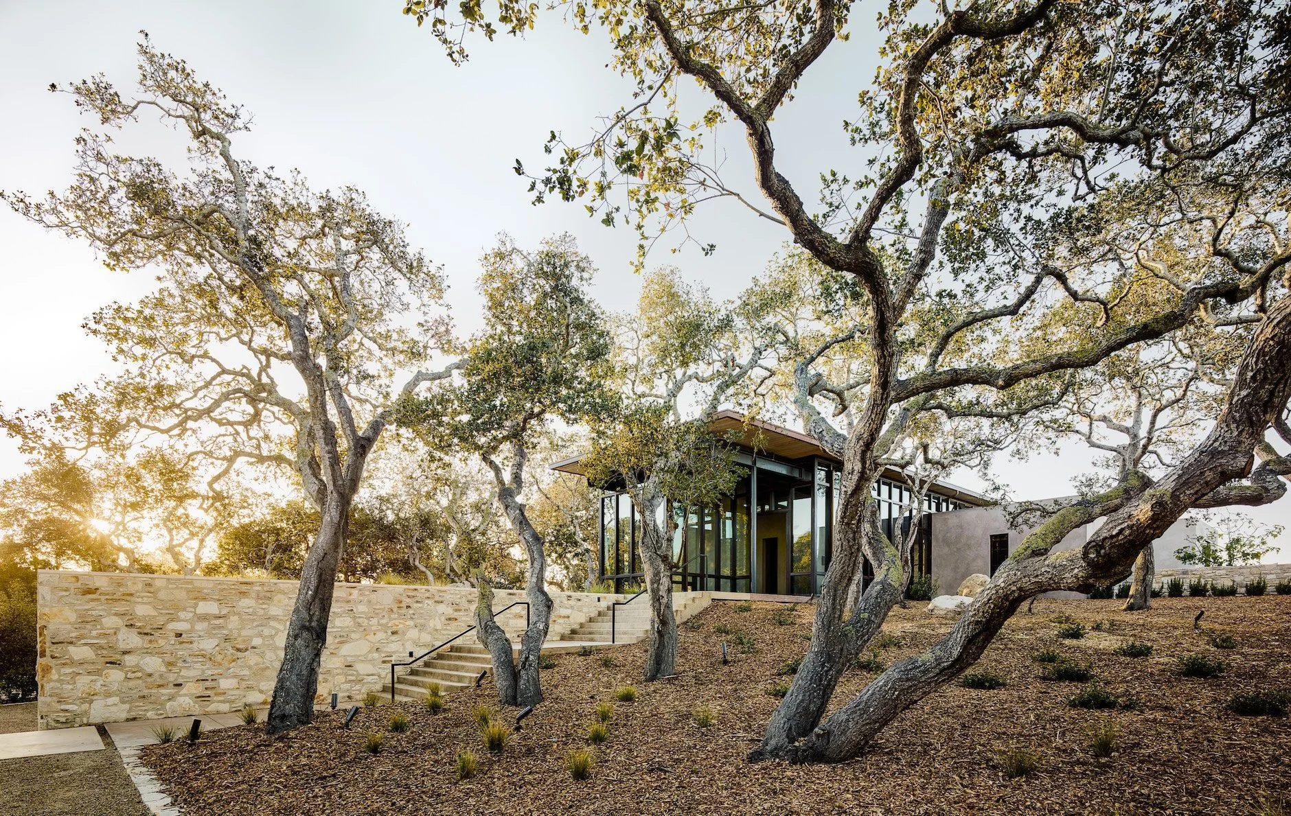 Women of Architecture — A New View, Brought Forward