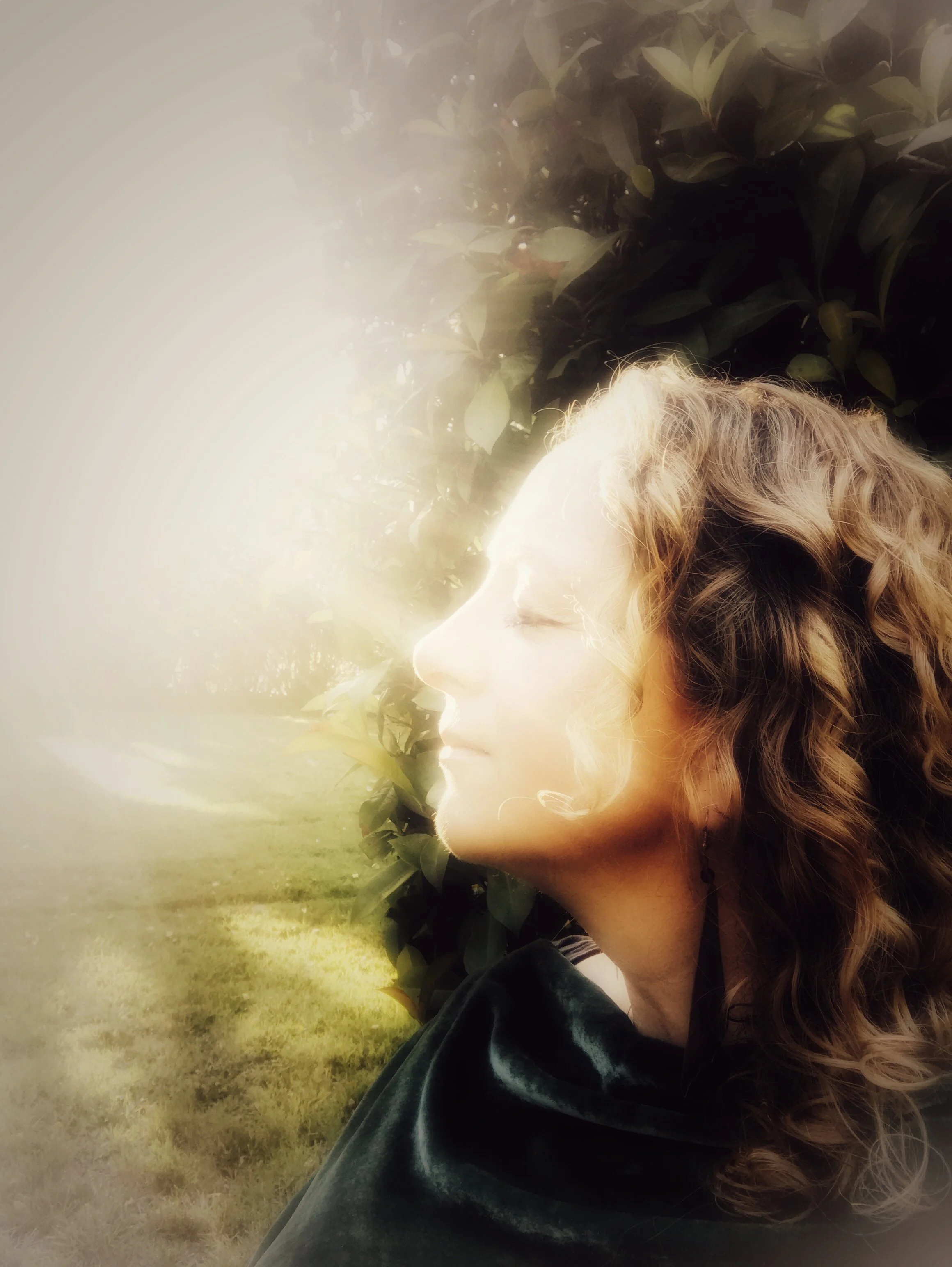 Shannon photo.jpg
