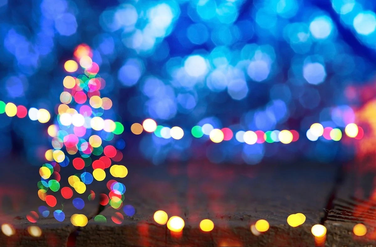 Annual Light Switch On Showcase