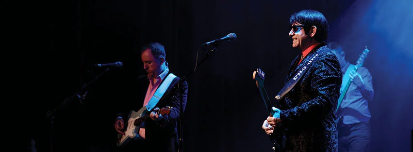 Barry Steele - The Roy Orbison and Traveling Wilburys Story
