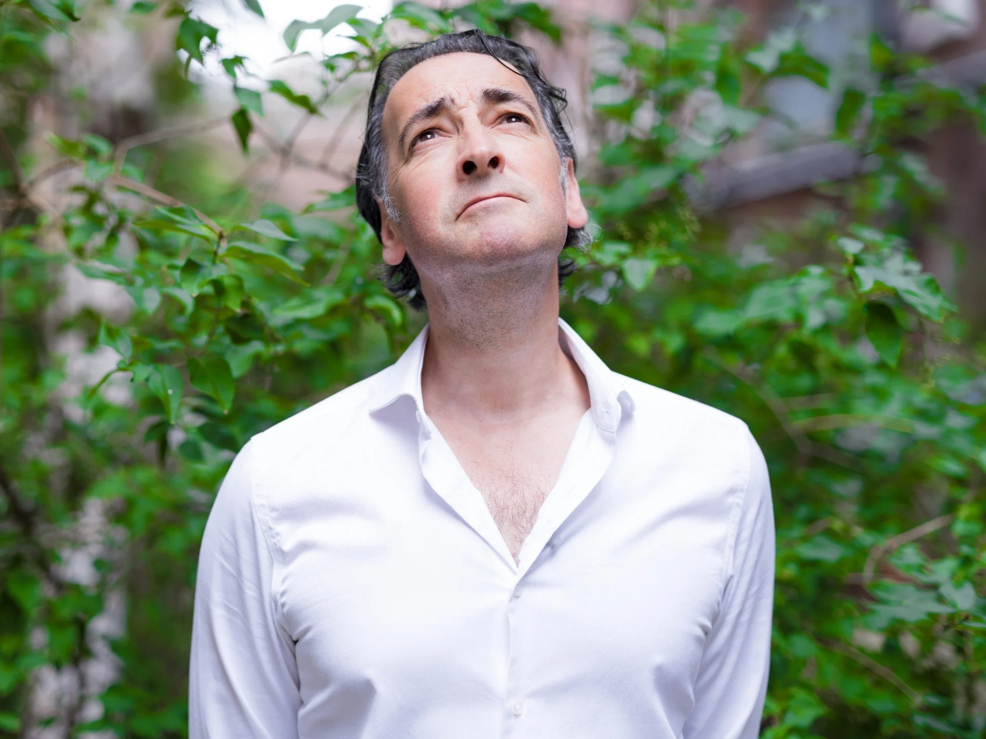 Alistair McGowan 3-in-1