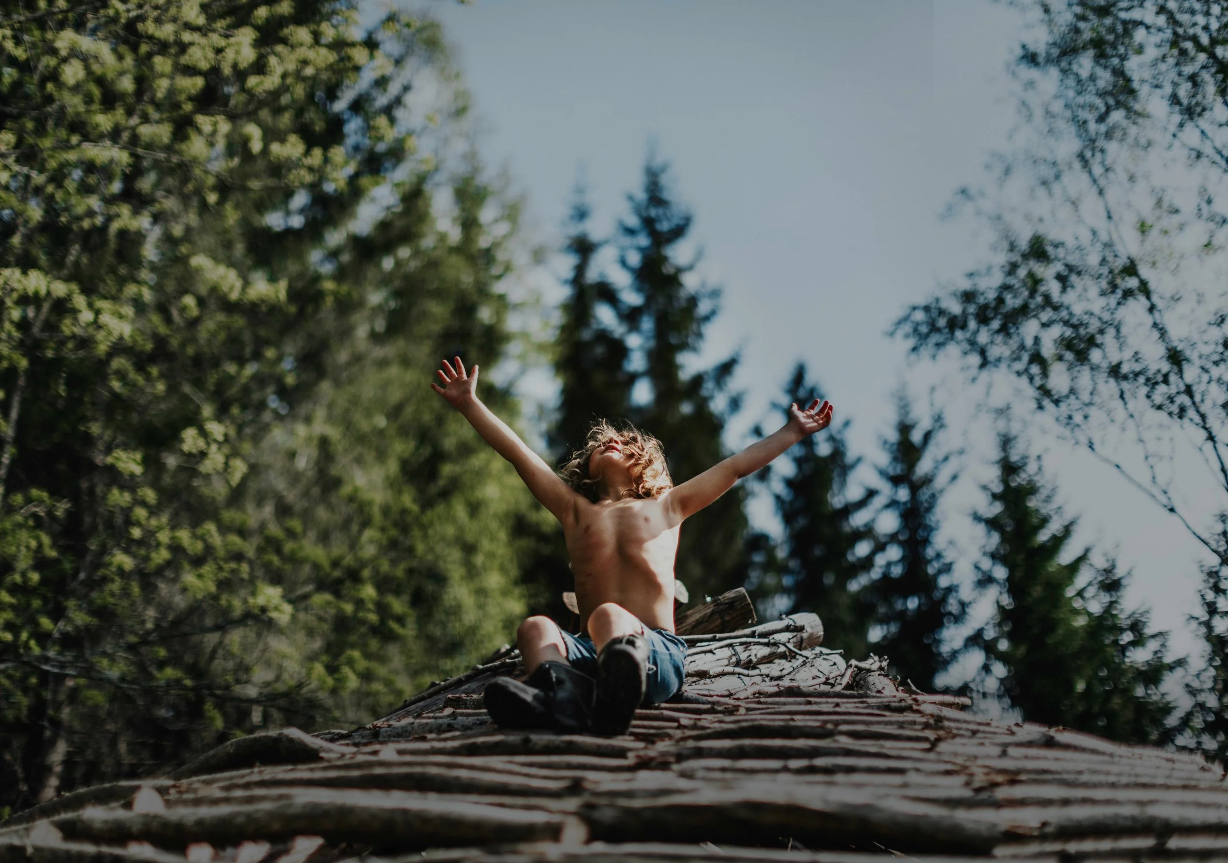 A New Kind of Wilderness (12A)