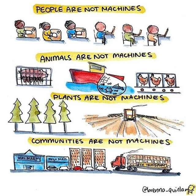 We don&rsquo;t live ON the planet, we are OF the planet and it is all connected 🌏🌱🌊
.
If we can apply this idea of connection to our lives everyday we have a chance to create this &ldquo;new&rdquo; normal that everyone is taking about 🌟 .
Love this illustration from @brenna_quinlan ❤️