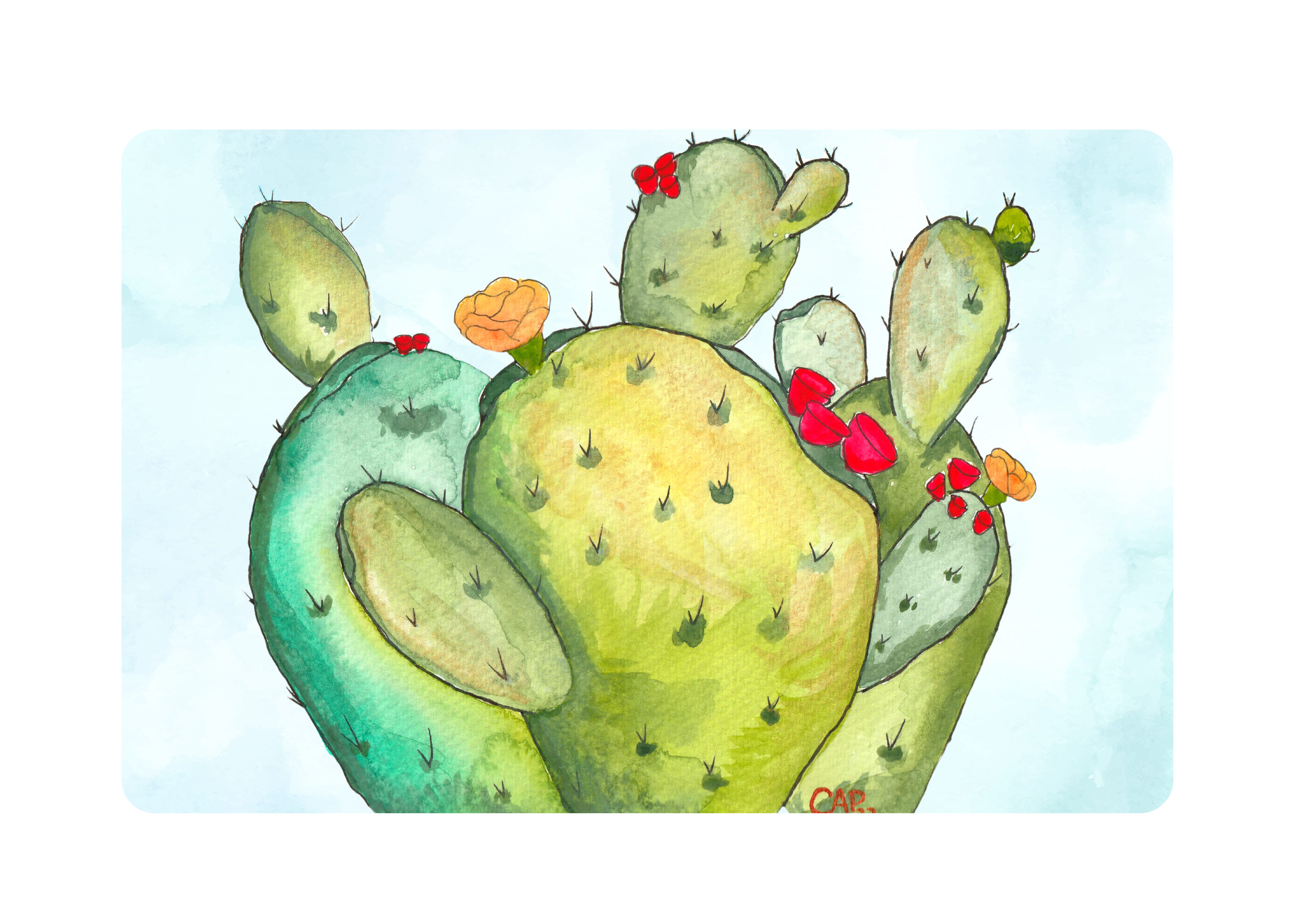 Cactus 2 Artist Print.png