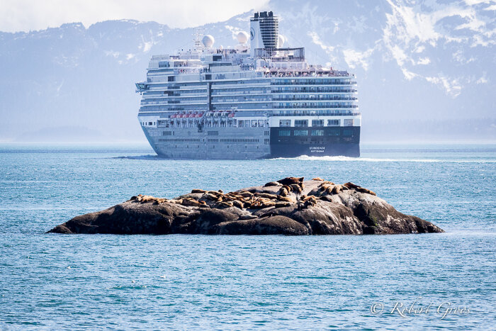 Giant cruise ship sails past our boat as we observe wildlife to port and starbord.