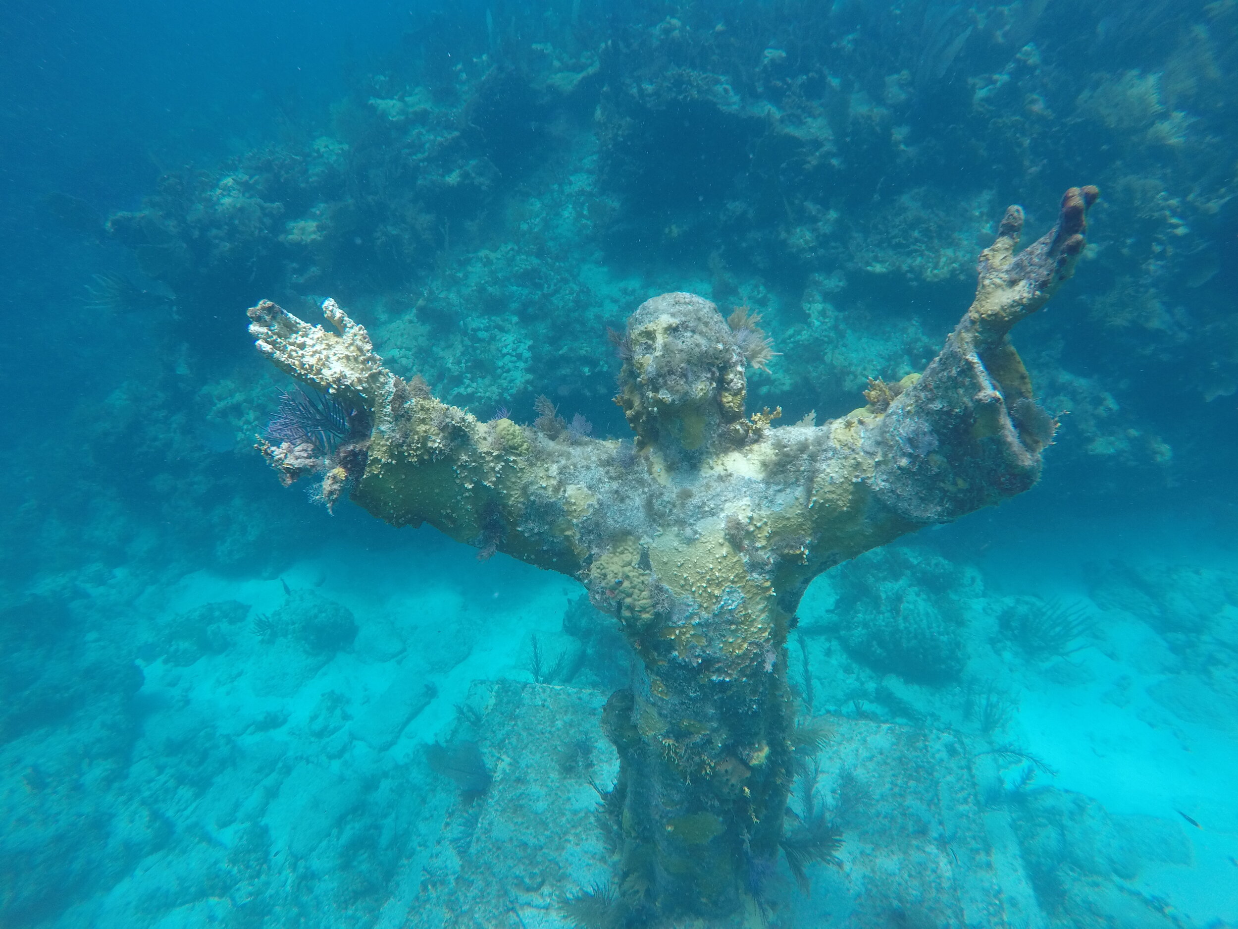 Islamorada Snorkeling Private Tours — Islamorada Coastal Adventures