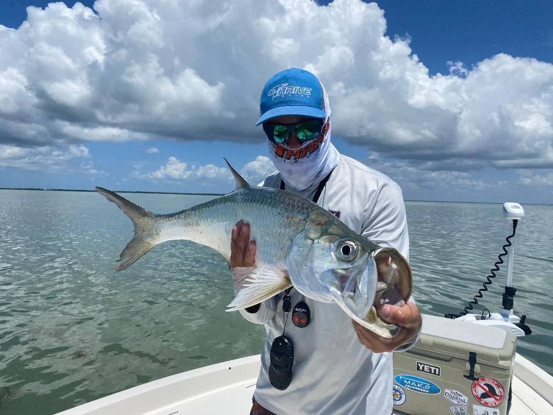 Islamorada Coastal AdventuresIslamorada Fishing Charters and Private