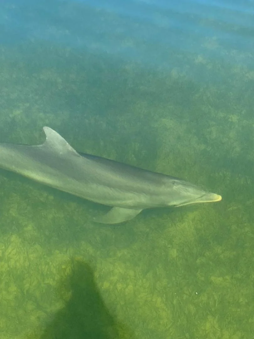 Islamorada Coastal AdventuresIslamorada Fishing Charters and Private