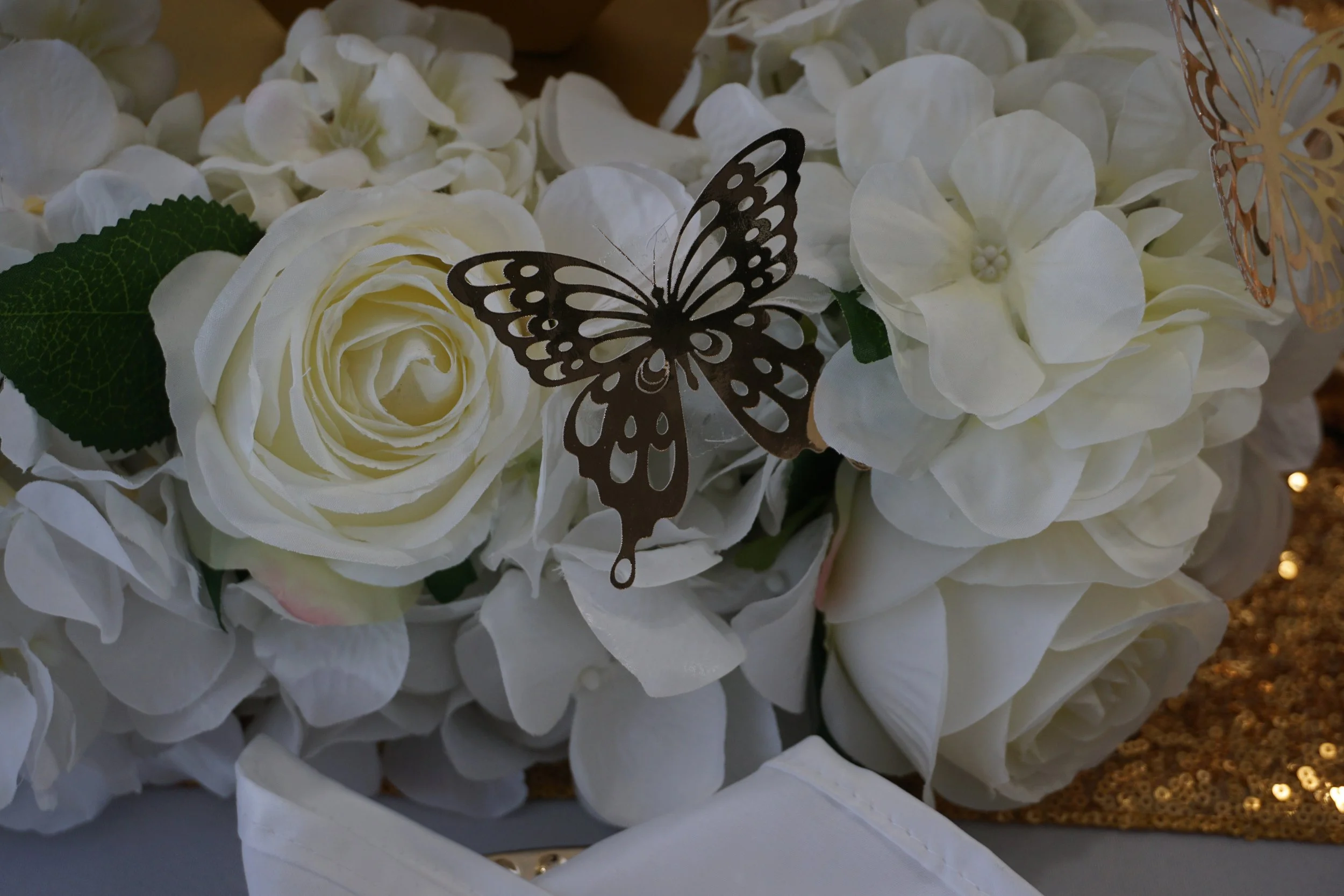 DSC03105.JPG