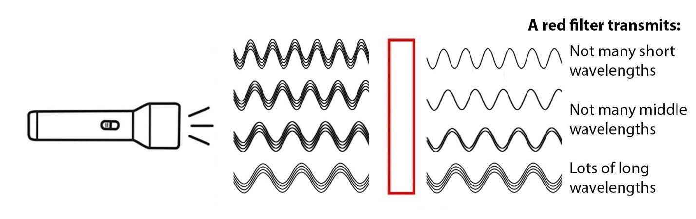 light transmition