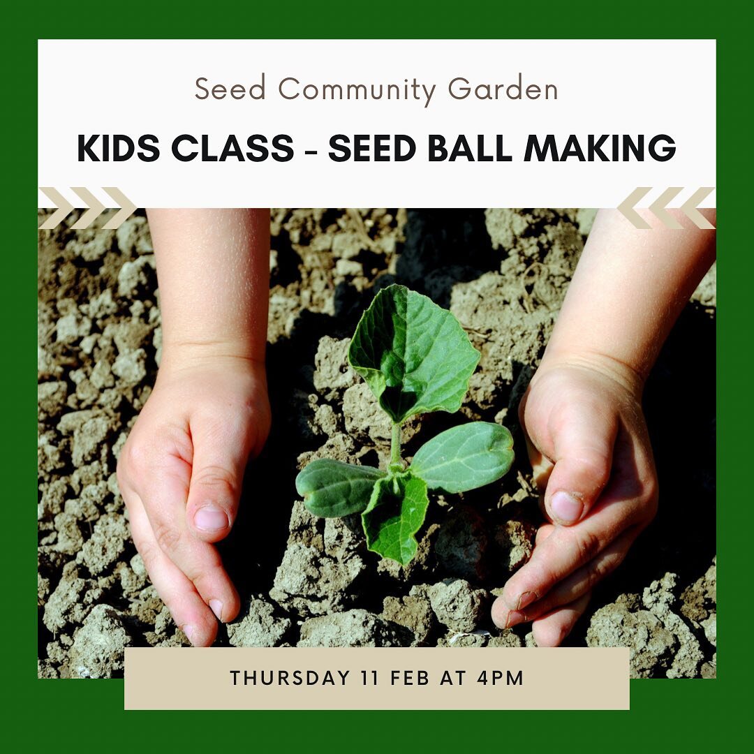 👧🏽 KIDS CLASSES 👦🏼

Our second upcoming workshop is one for the kids! They will learn how to make their very own seed ball. 🌱

Seed balls were originally made to throw in hard to reach garden spaces. Learn how to make your own seed balls and tak