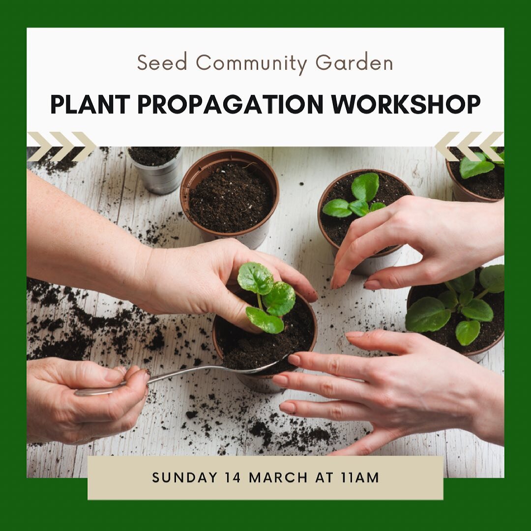 🌱 Plant Propagation Workshop 🌱

There&rsquo;s still time to sign up for this weekend&rsquo;s workshop!

Growing your own plants from seed, cuttings and division is creative and very rewarding.

This workshop is focussed on veggies, herbs and edible