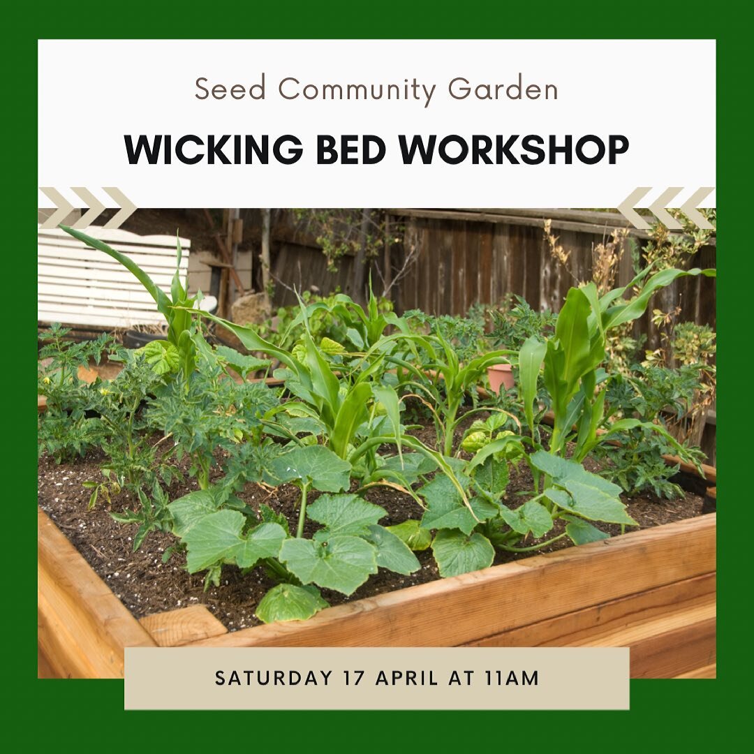 We are so excited to let you know that we will be holding our second Wicking Bed Workshop next weekend!

When: Saturday the 17th of April at 11am.
Where: At Seed!
Why: Because you will learn how to make your very own wicking bed.
How: Book online thr
