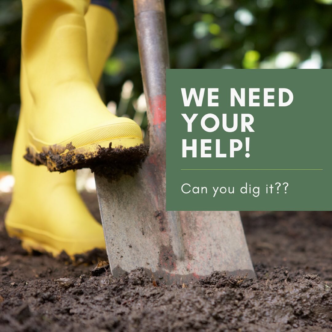 We have some things going on this Saturday!

Skip the gym this weekend and shovel some stones to help a not-for-profit instead! 

We have two small beds to fill with soil and scoria (probably only 20 minutes) and seedlings to plant, so we need people