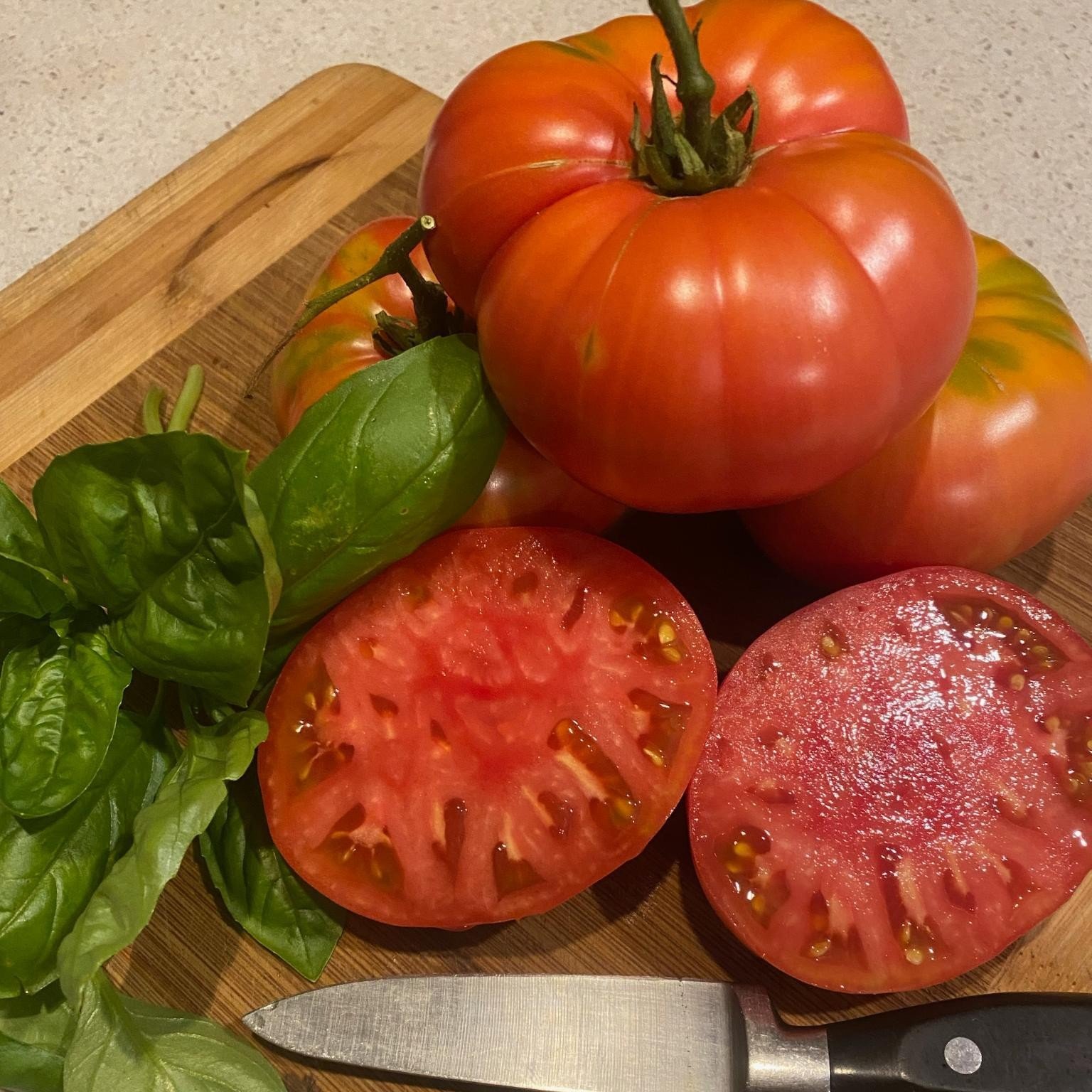 🍅 Our friend Rob Manser introduced us to this old (1885) Amish Heirloom beefsteak tomato variety this season. It's named after the Brandywine river in Pennsylvania and it has excellent flavour with low acid and few seeds. 🍅

We'll be tasting these 