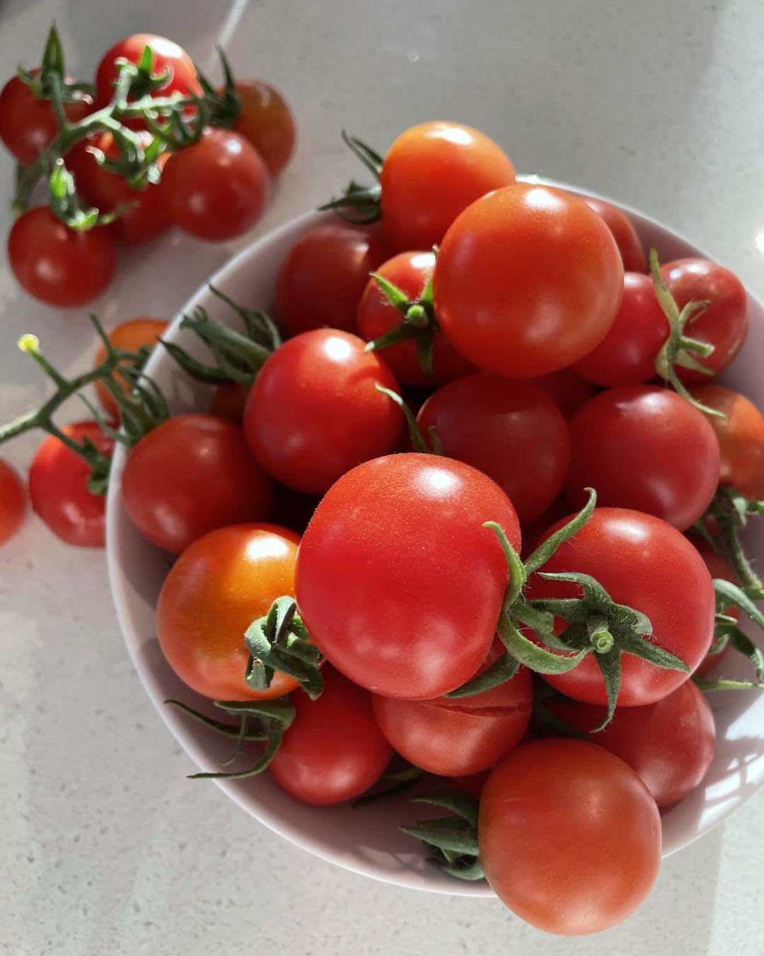 🍅 Show us your tomatoes! 🍅

Now that we have had some warmer days (and with the benefit of lots of rain) tomato season is in full swing! 

We would love to see some pictures of the tomatoes you are growing at your place. Pop a photo in the comments