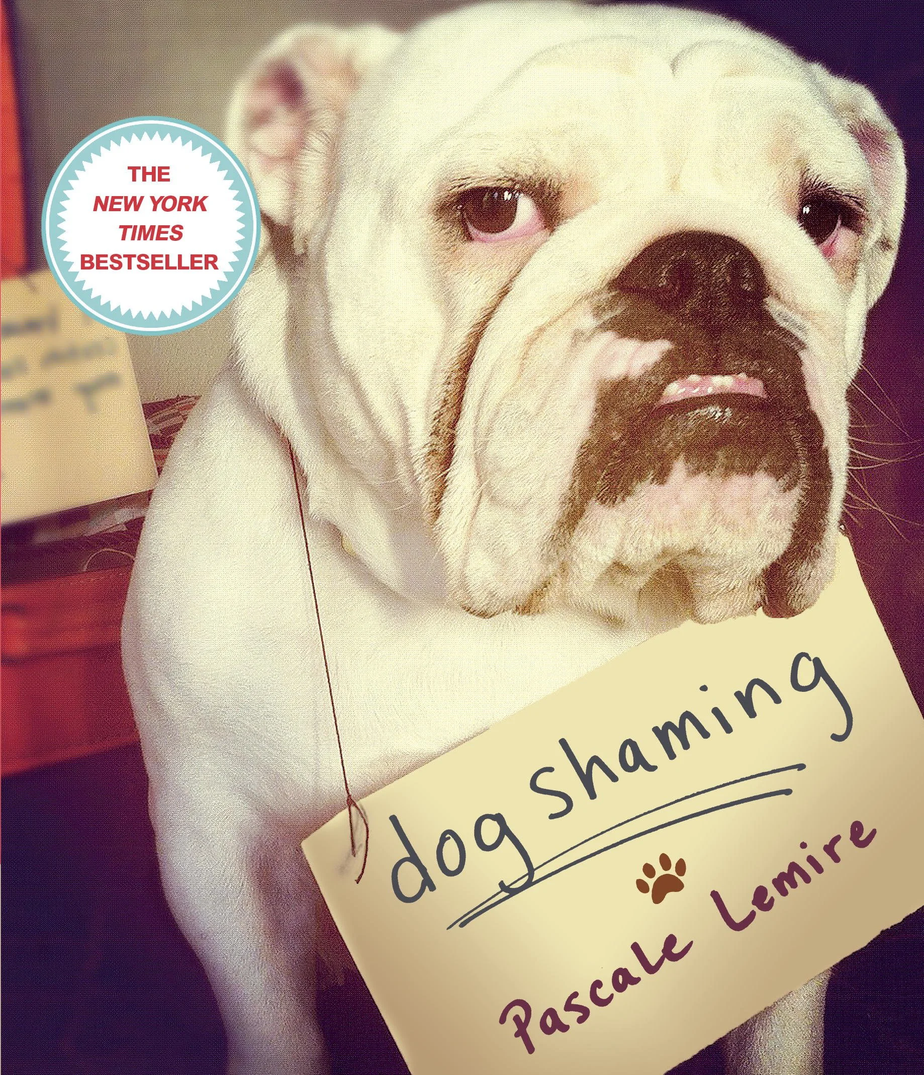 Dogshaming NYT Bestseller Cover.jpg