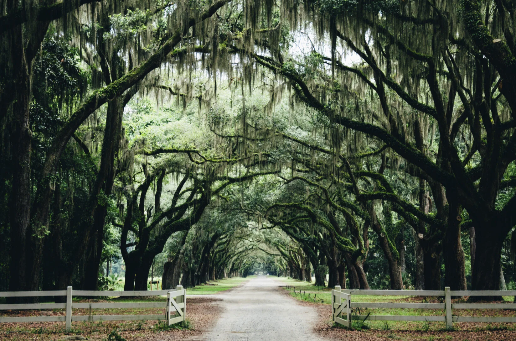 pathway Photo by Ashley Knedler on Unsplash.jpg