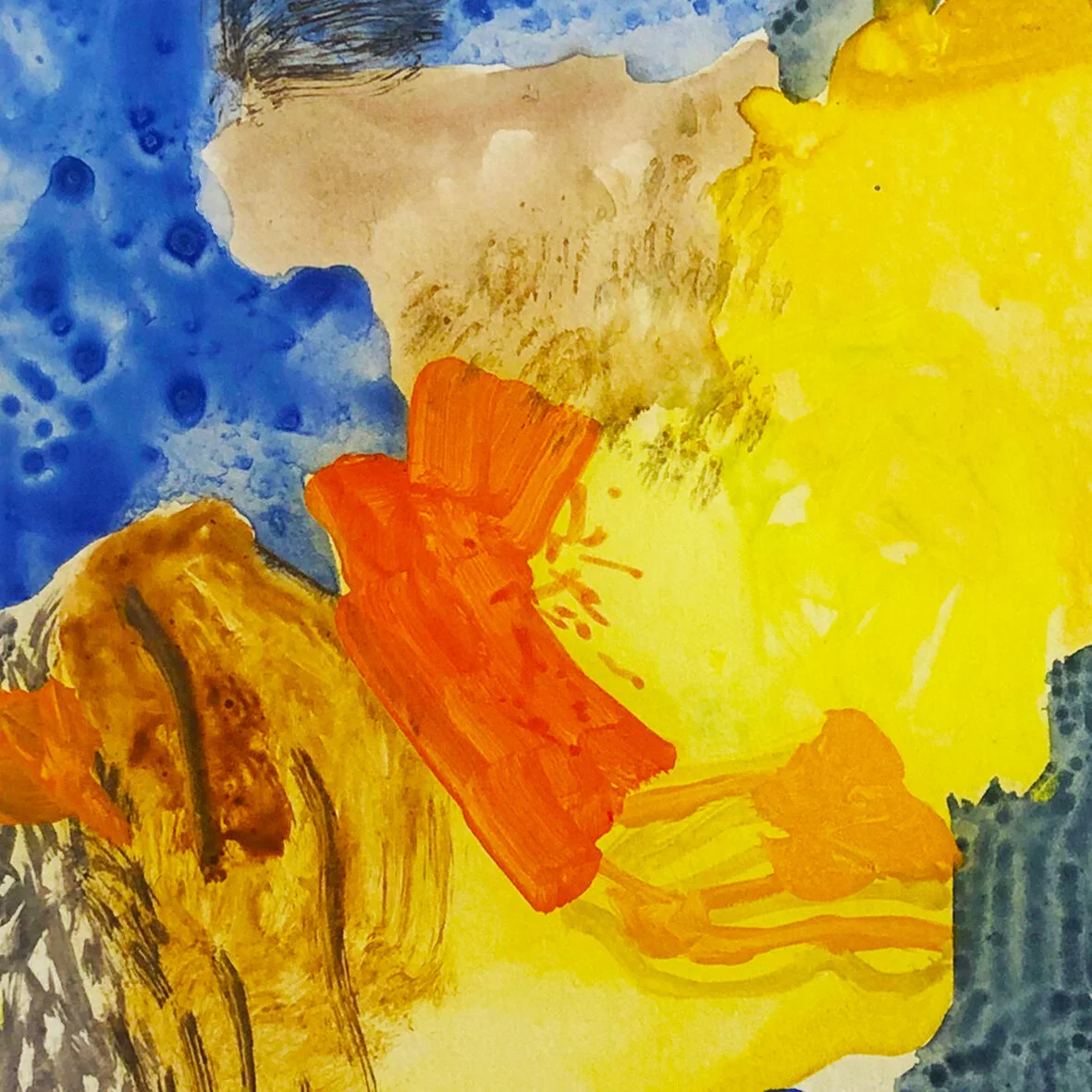 DOUGLAS SCHOFIELD - Daffodils &amp; Jonquils