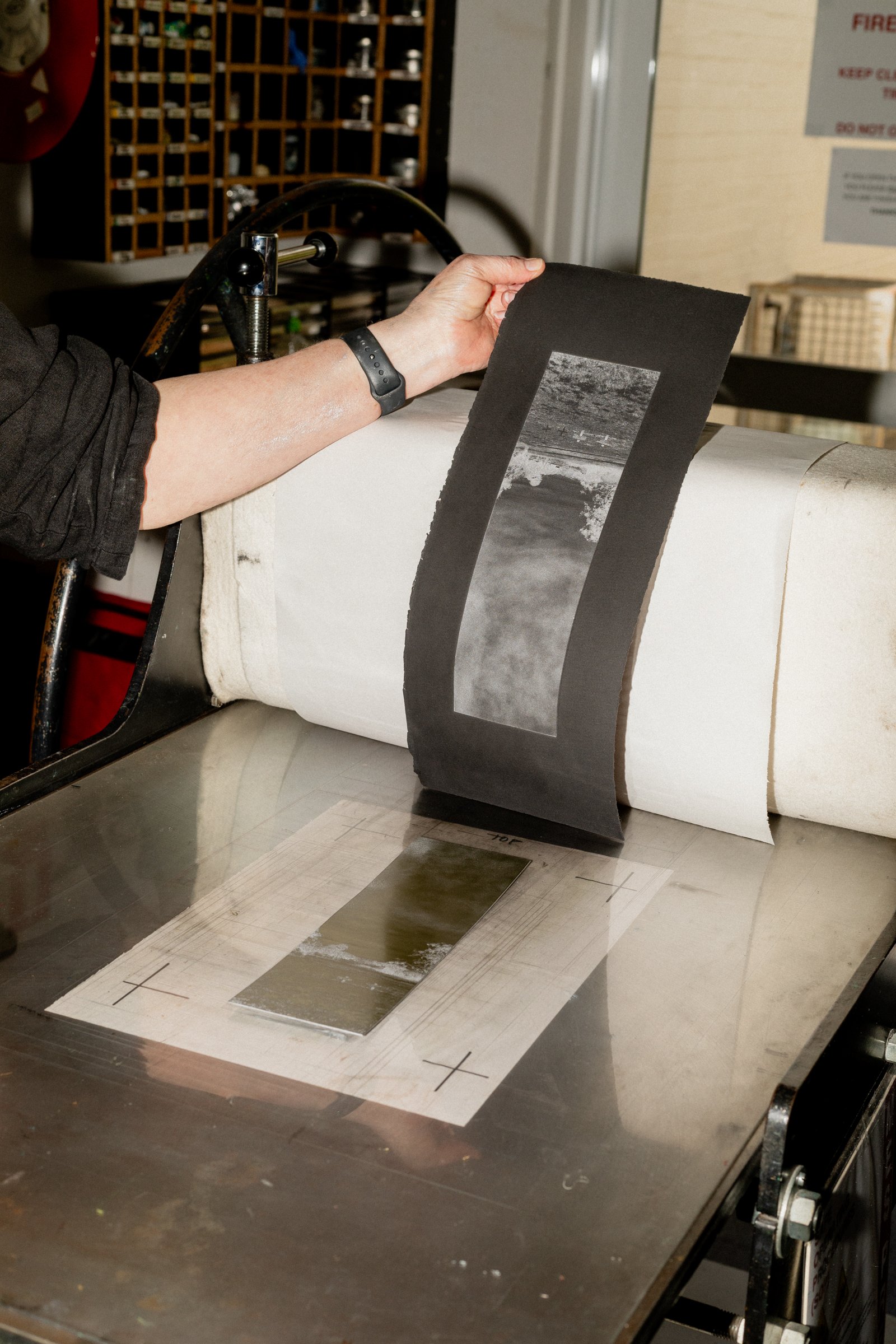 Botanic Gardens: From lens to print Workshop