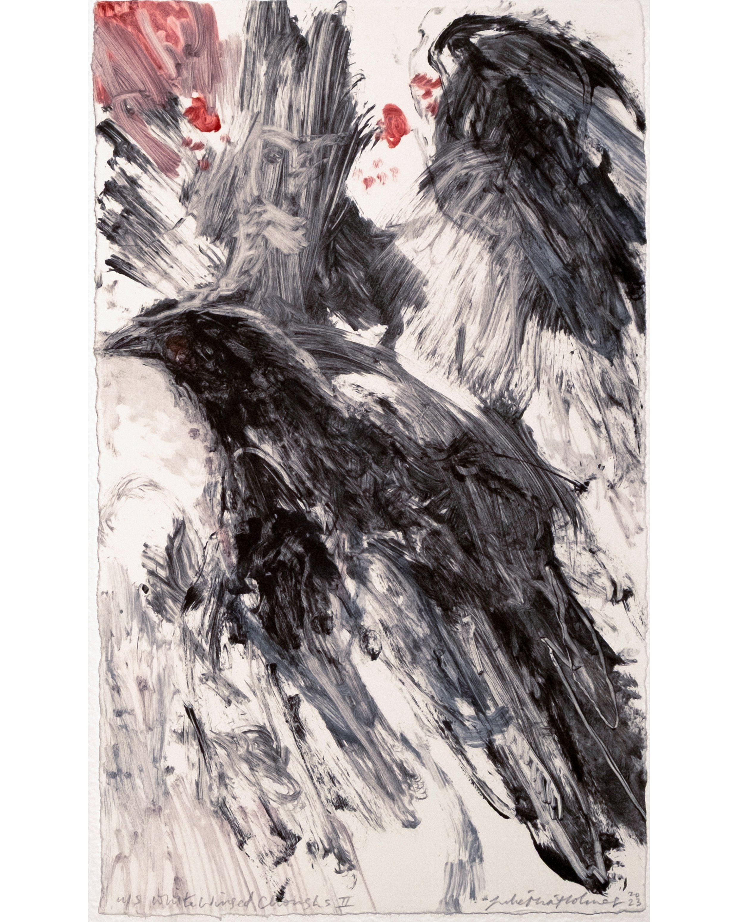 Julie Mia Holmes - White Wing Choughs II