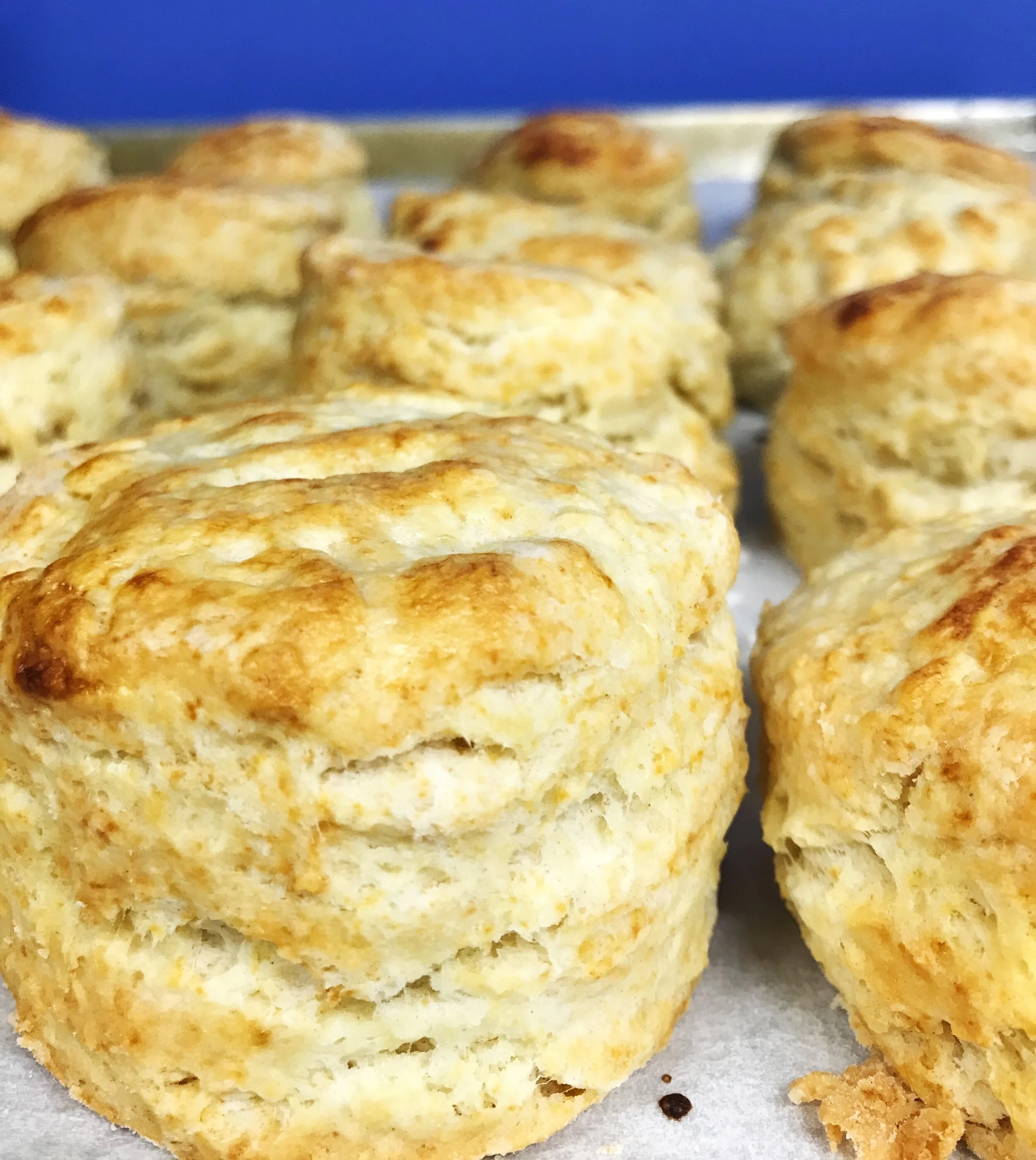 Biscuits and Gravy, Dec. 18