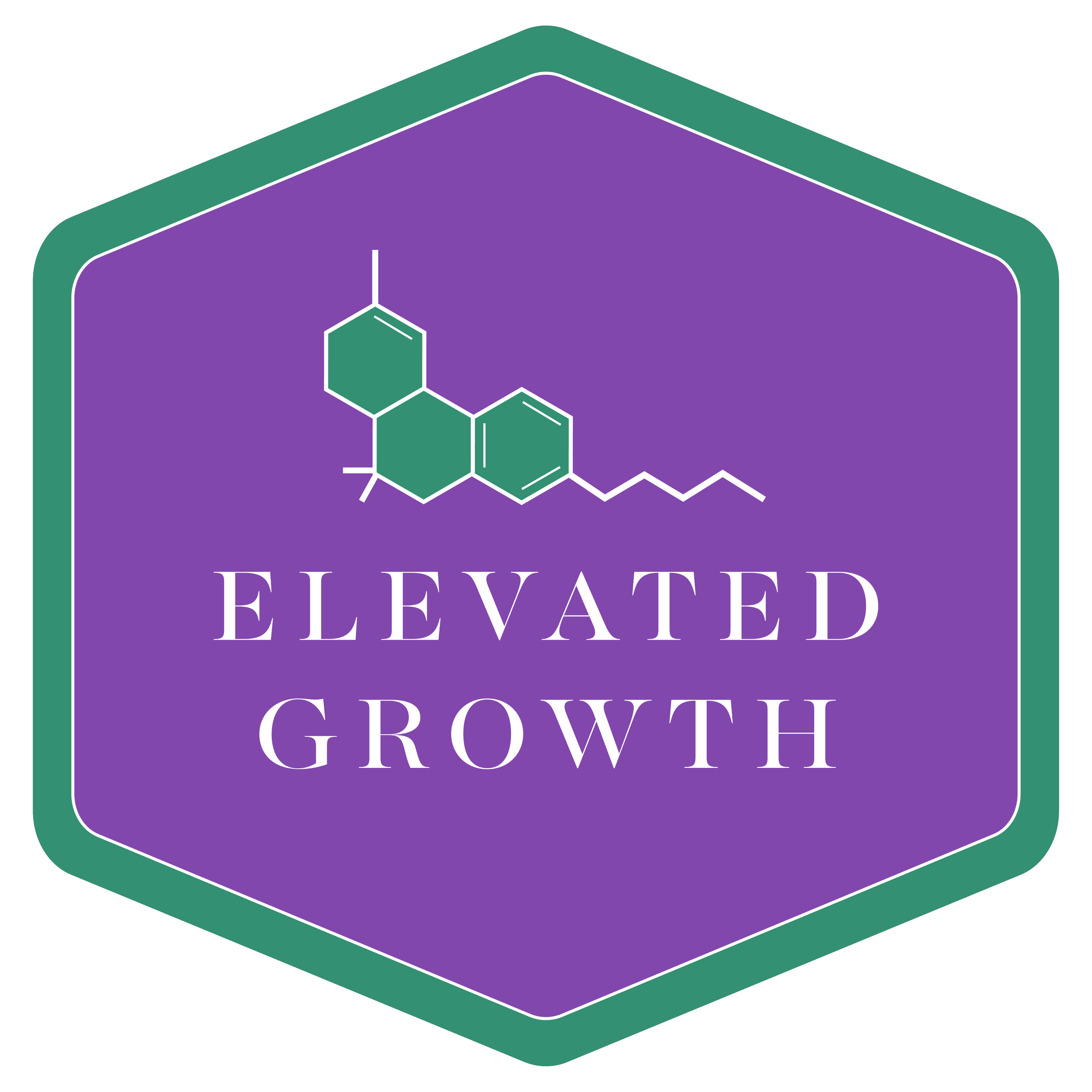 elevated growth logo-options_hexagon_minus tagline.png