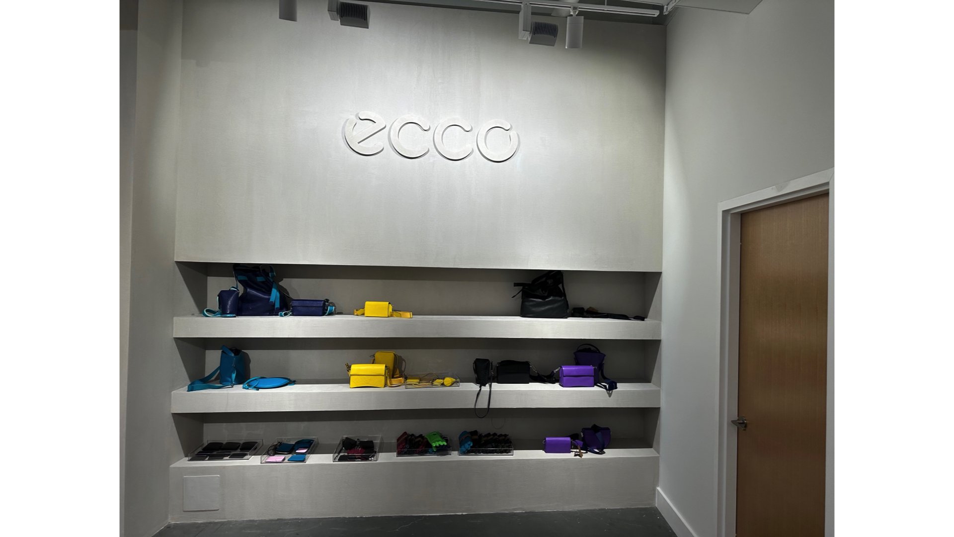 ecco sign and bags resize.jpg