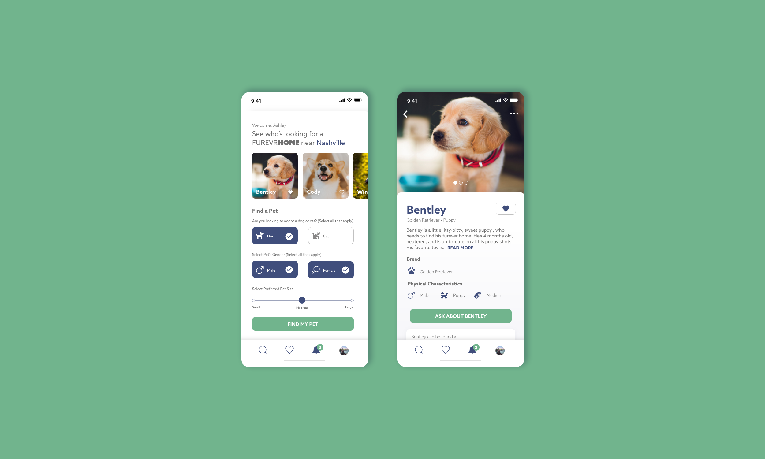 fureverhome_3_search_finder_ashley_mcnurlan_design.png
