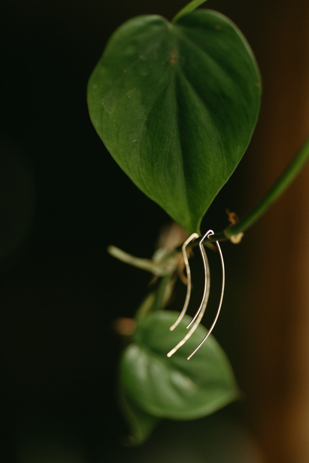 Hoop House