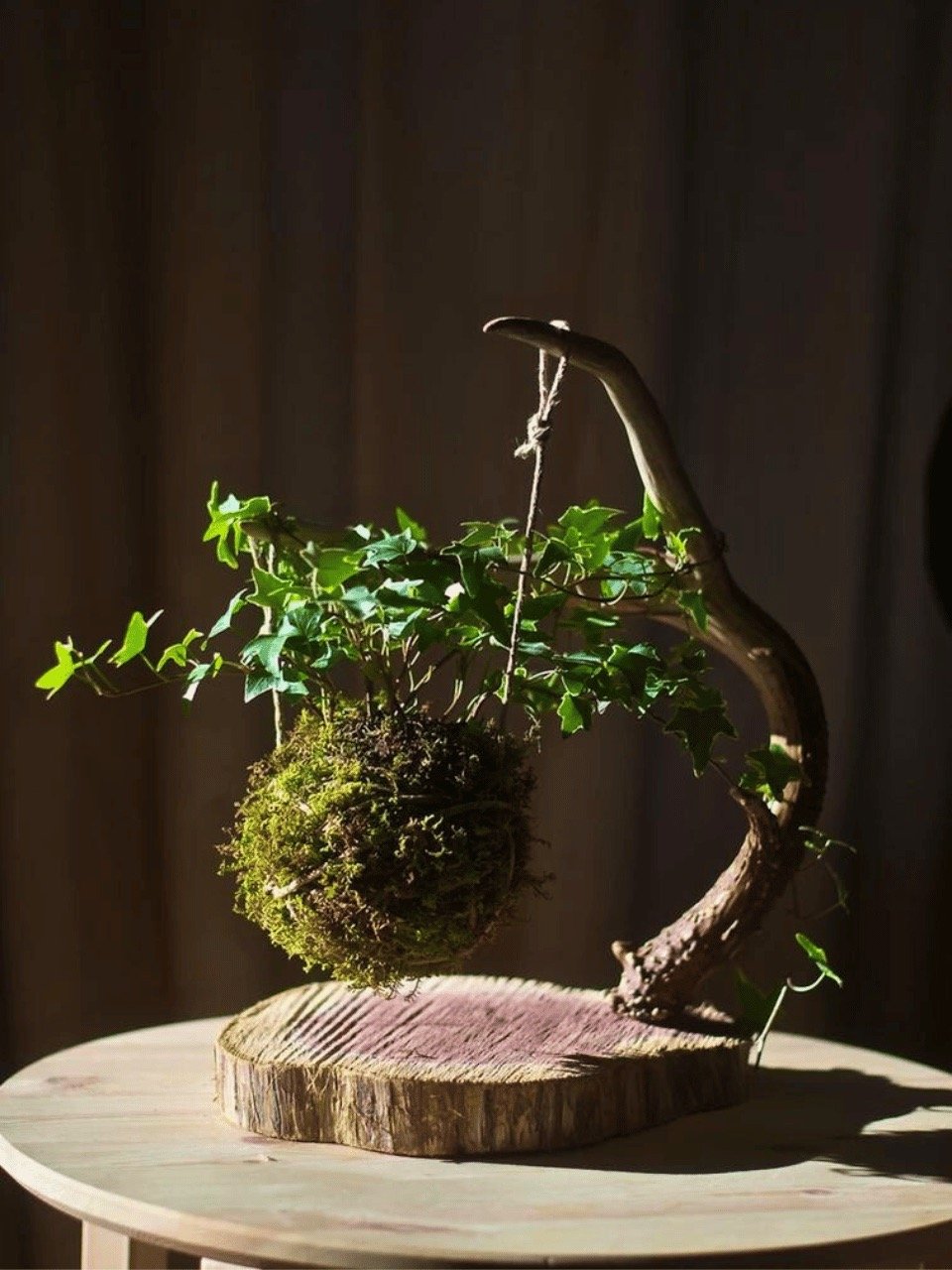 Sacred Harvest Company
