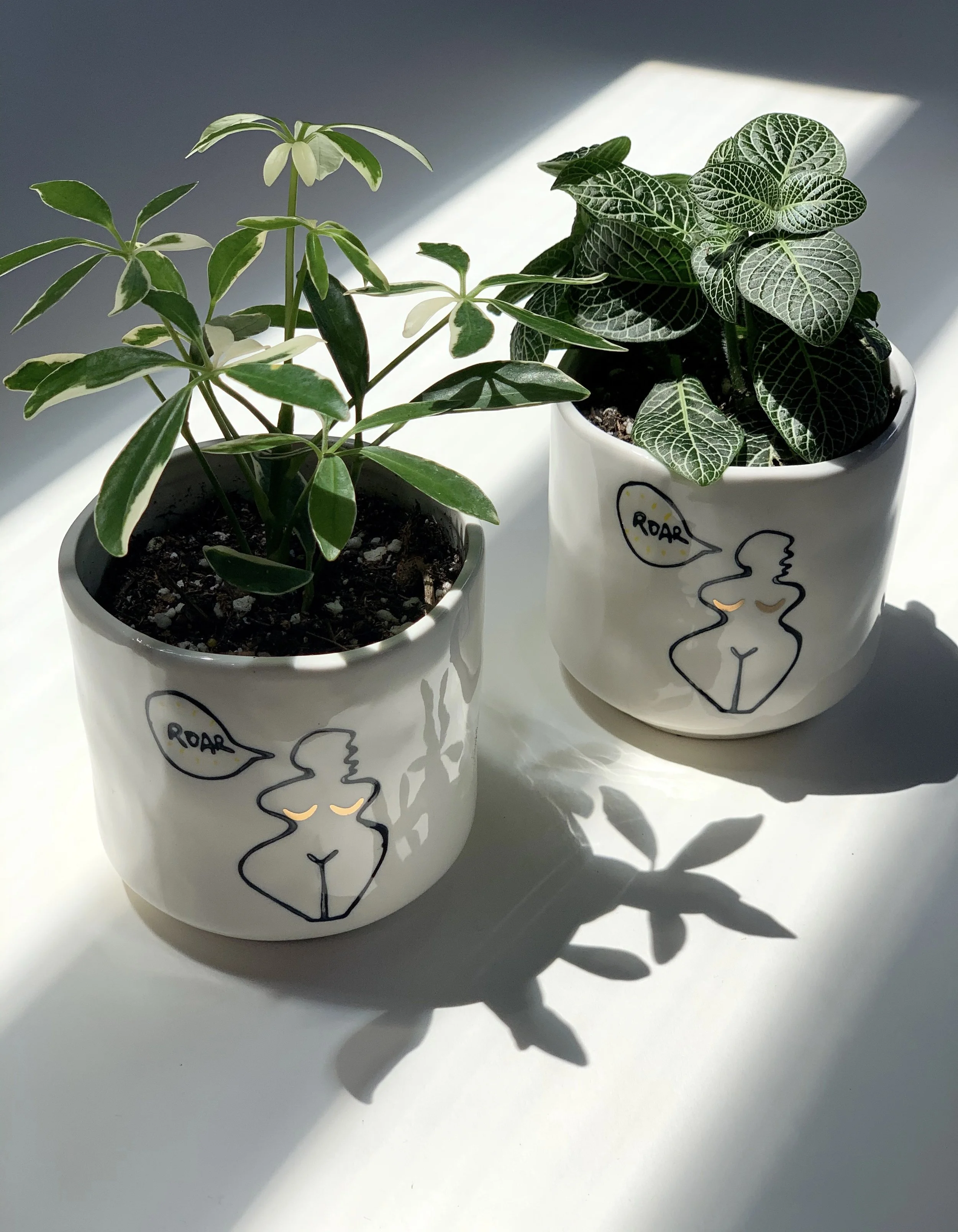 Knockin Roots Plant Company