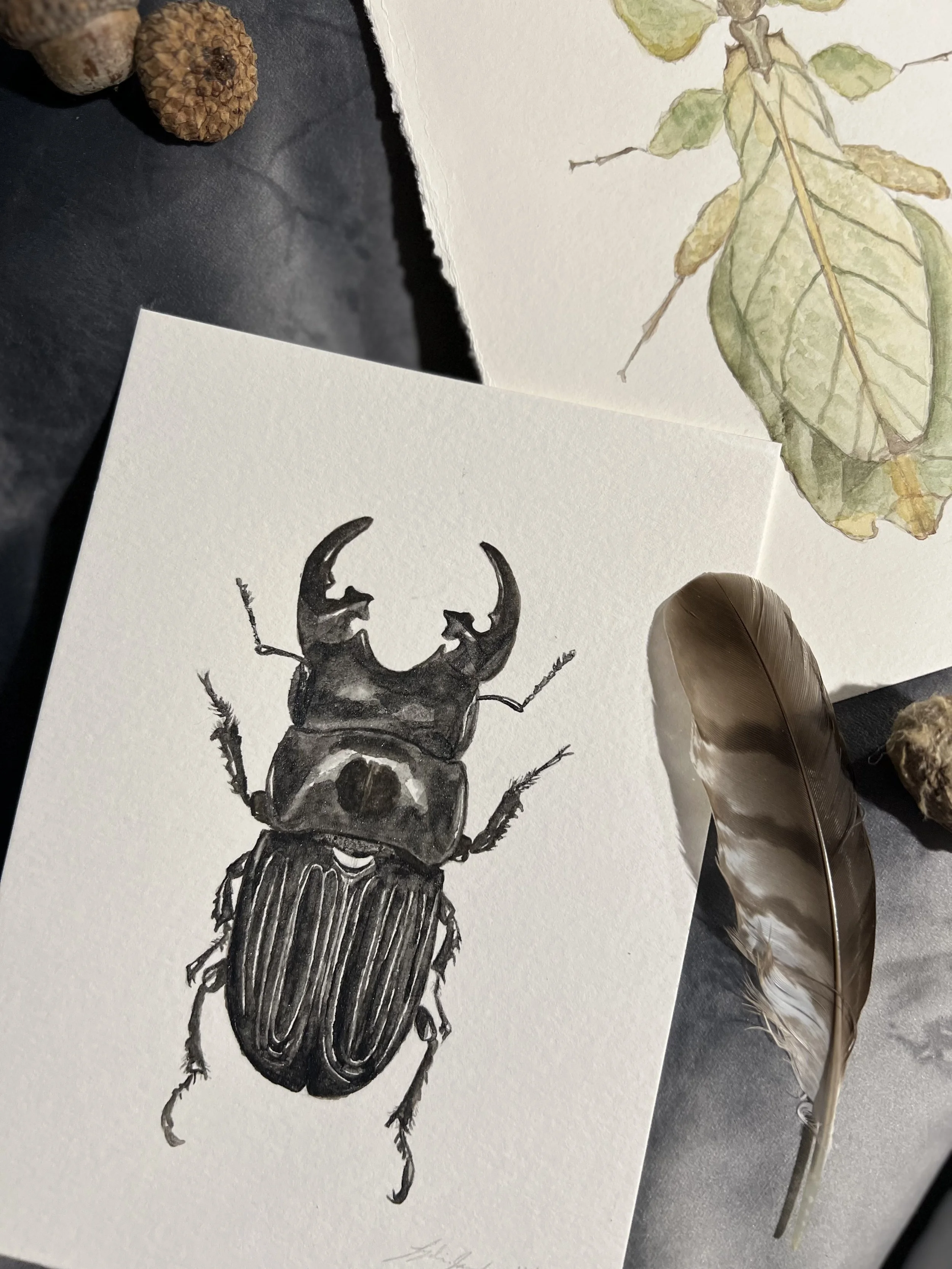 Lydia Jacobs Studios 