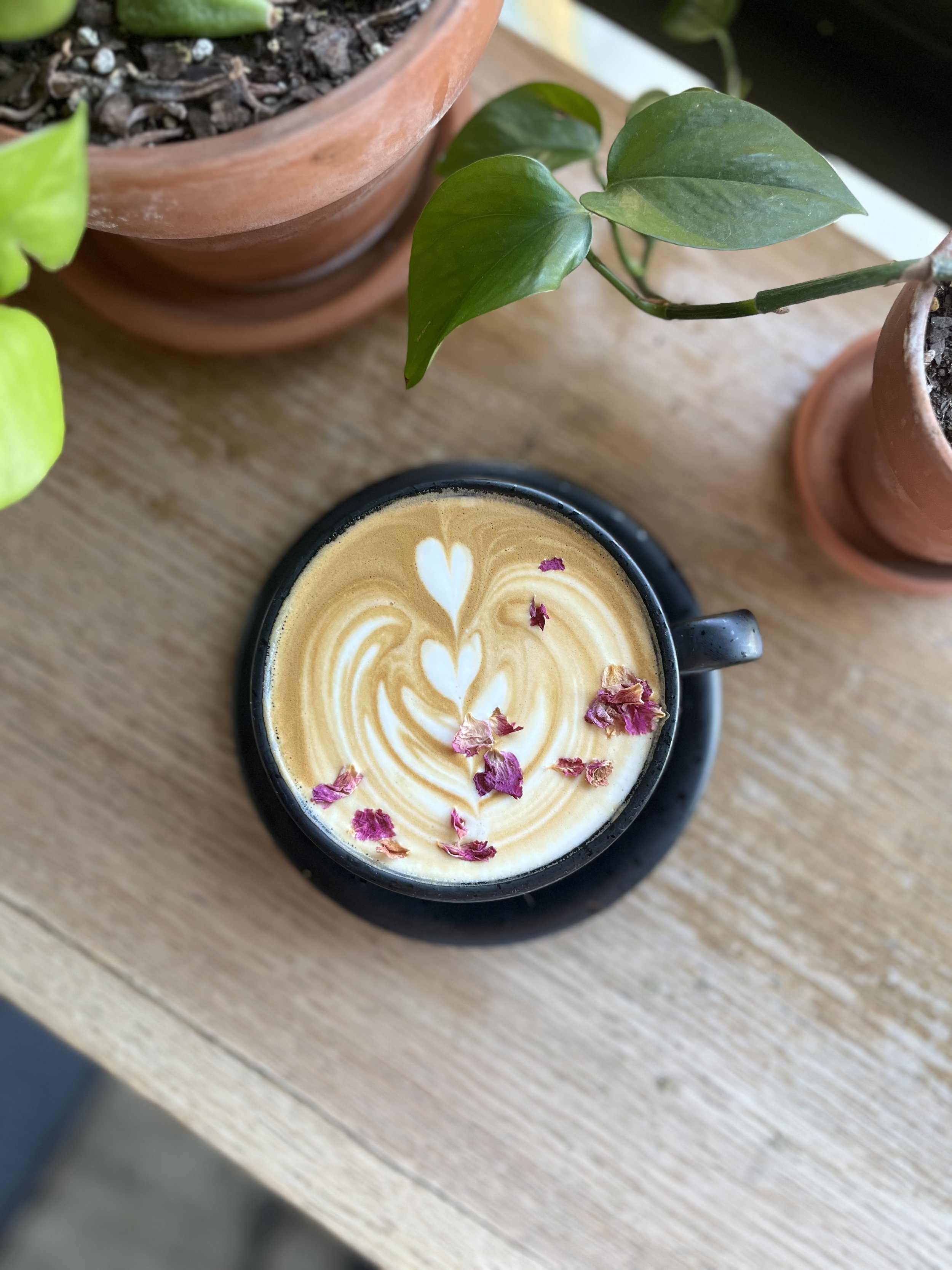 Paradeisos Coffee Company