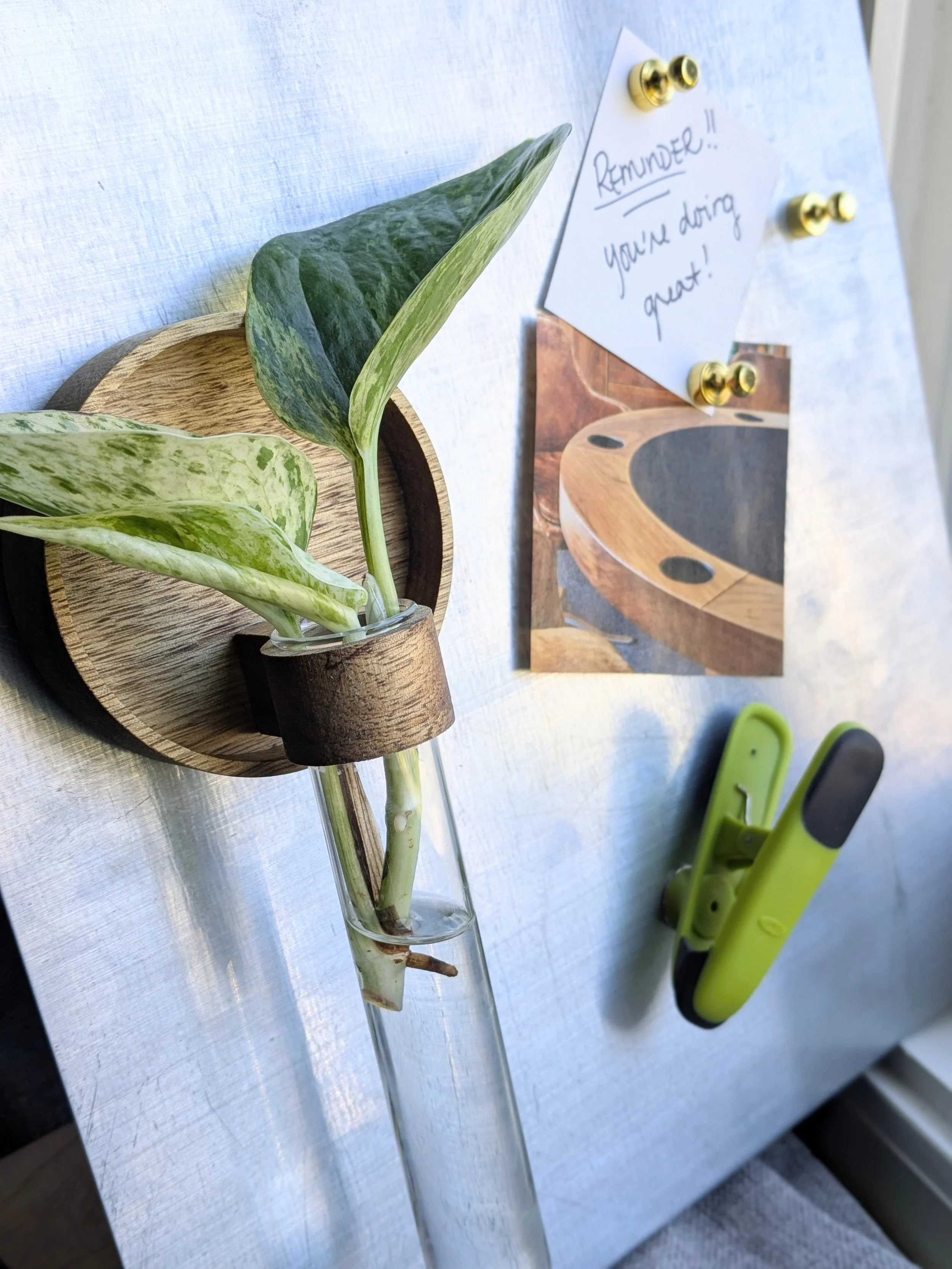 Theory Beyond Design