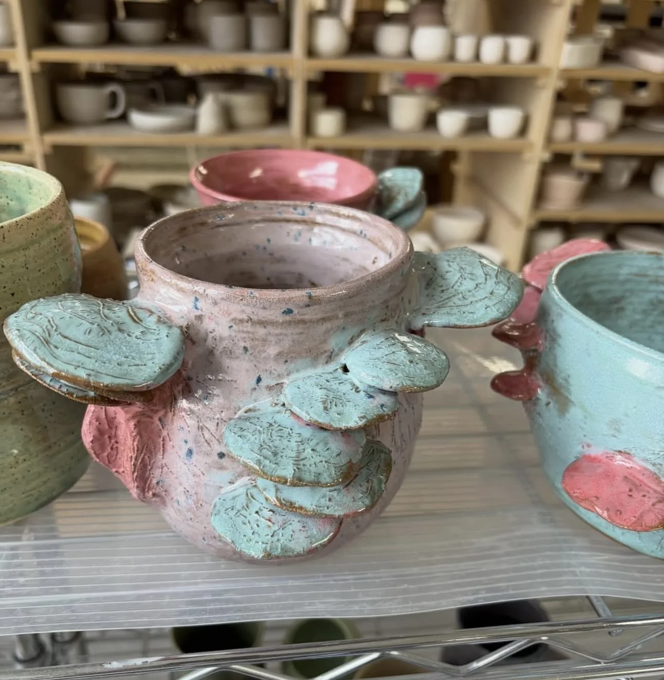Mycelium Ceramics Co