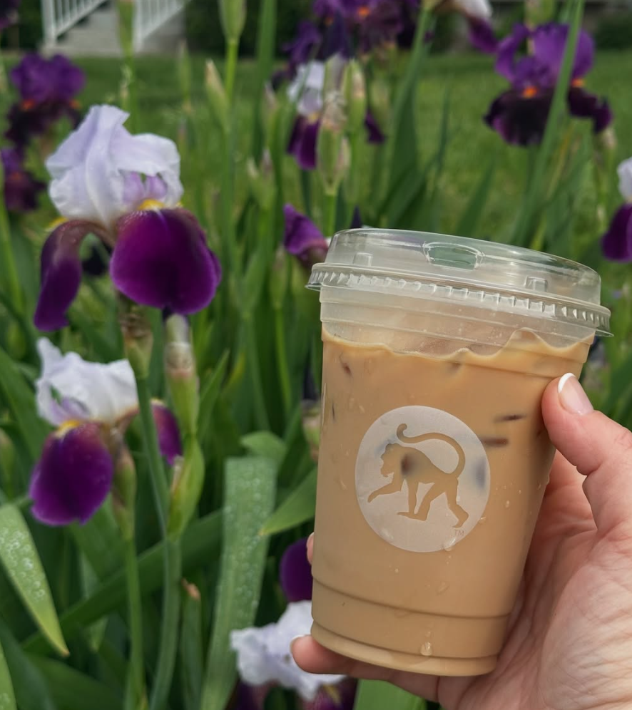 Frothy Monkey 