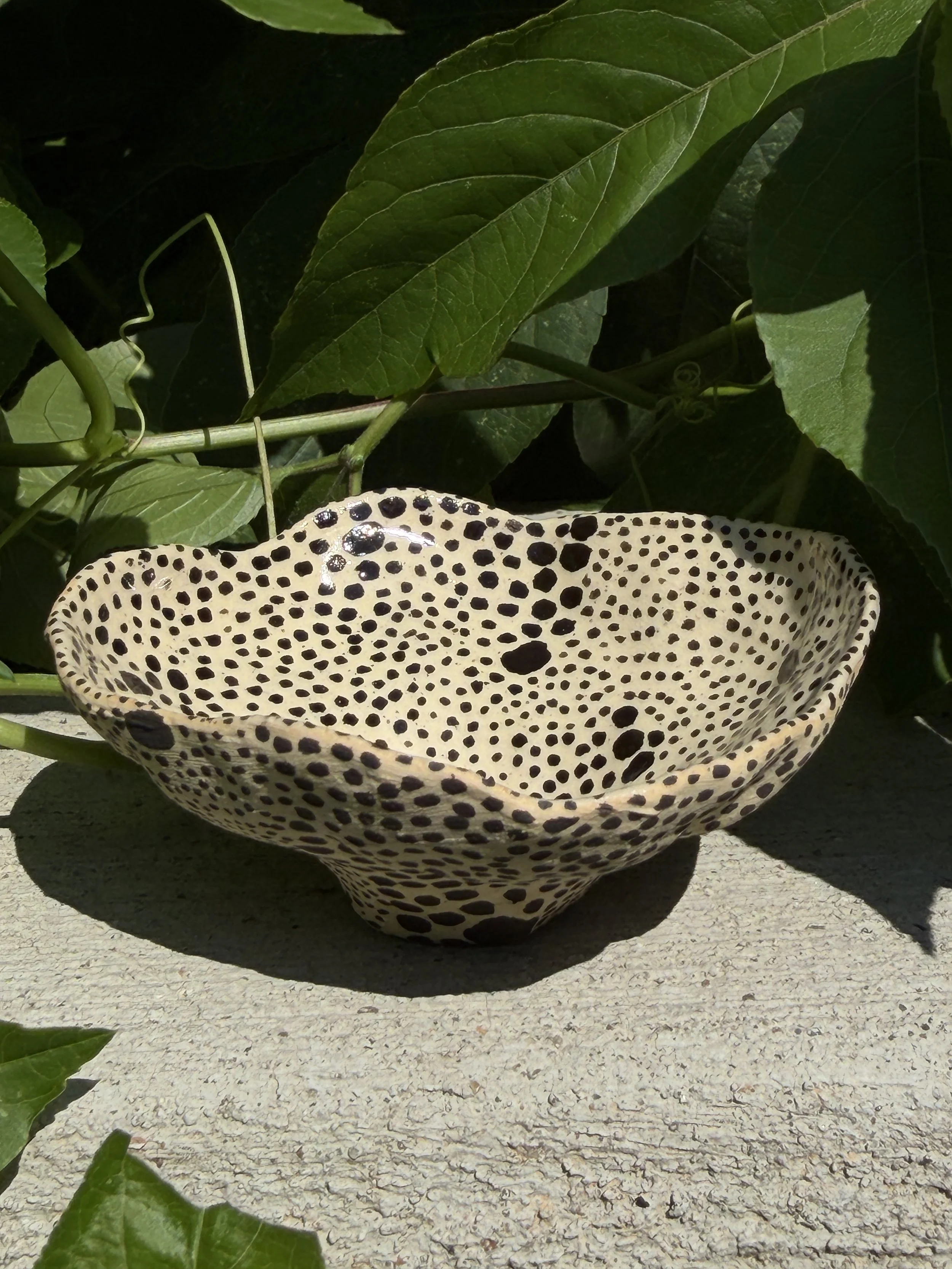 Cara Anne Ceramics 