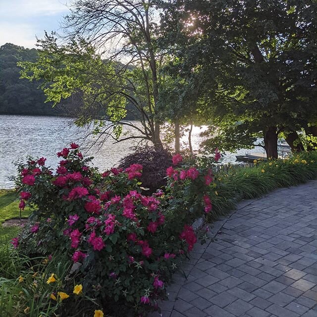 I took this picture at our Dad's this past weekend. I think it might make a nice background for our next card!

#ct #connecticut #beautifulday #lakelife