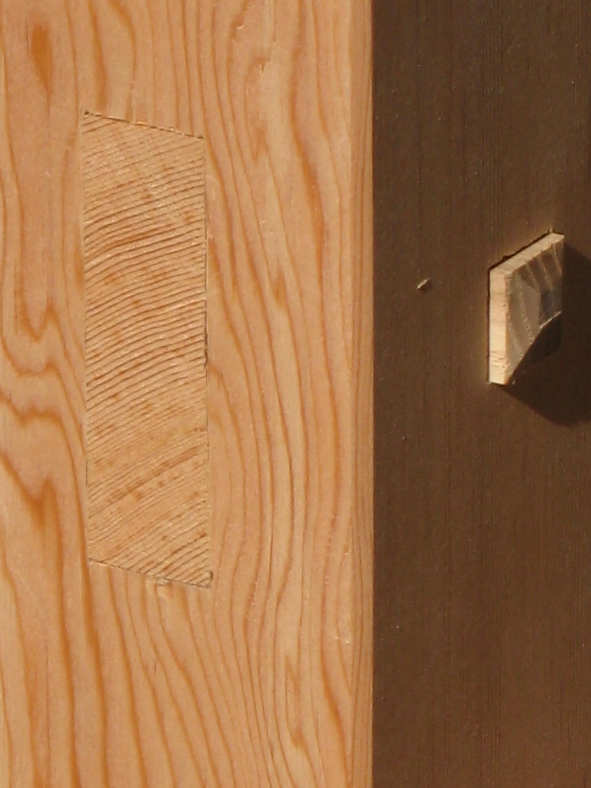 Horses - Douglas Fir