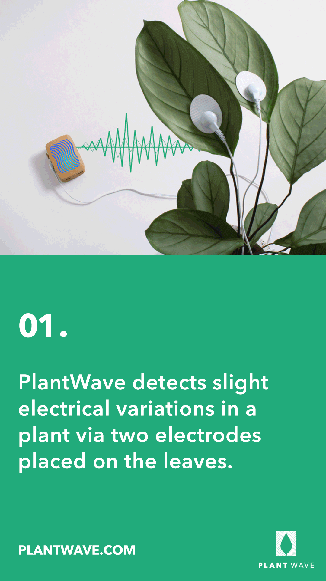新品未使用　PLANT WAVE　植物が音楽を演奏するデバイス　プラントウェーブ 新品 PLANT WAVE 植物が音楽を演奏するデバイス プラントウェーブ