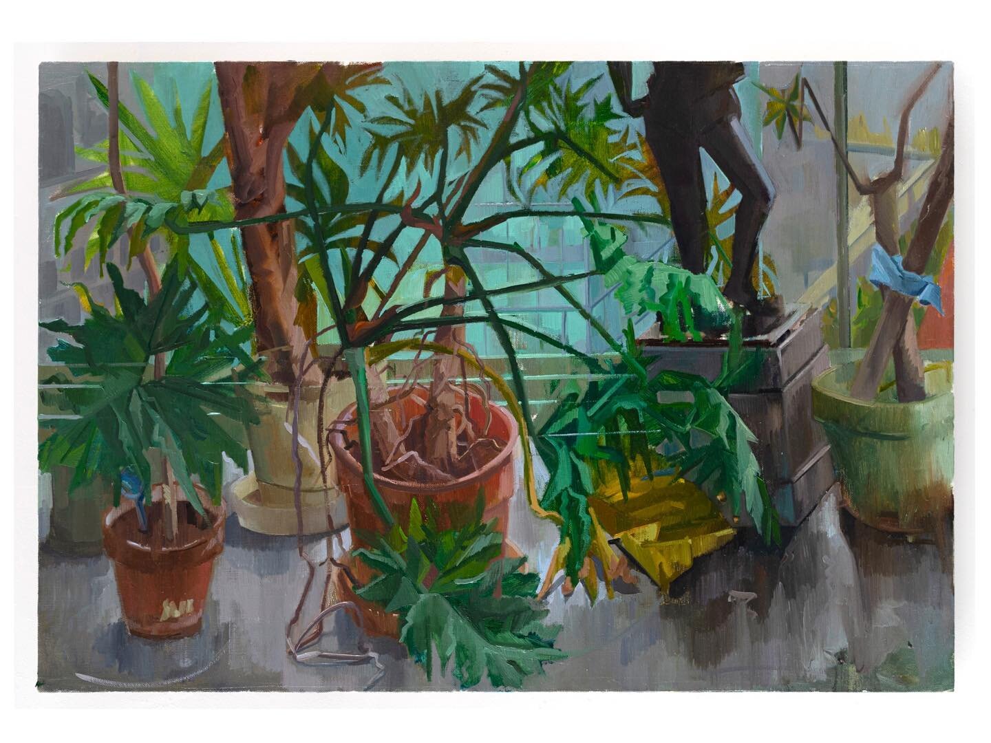A Particular Haze 
22&rdquo; x 32&rdquo; Oil on linen 

Another plant still life from this summer. Painting from observation is such a grounding experience where I get to lose myself in whatever I am looking at. A place where I can just be ✨
.
.
.
.
