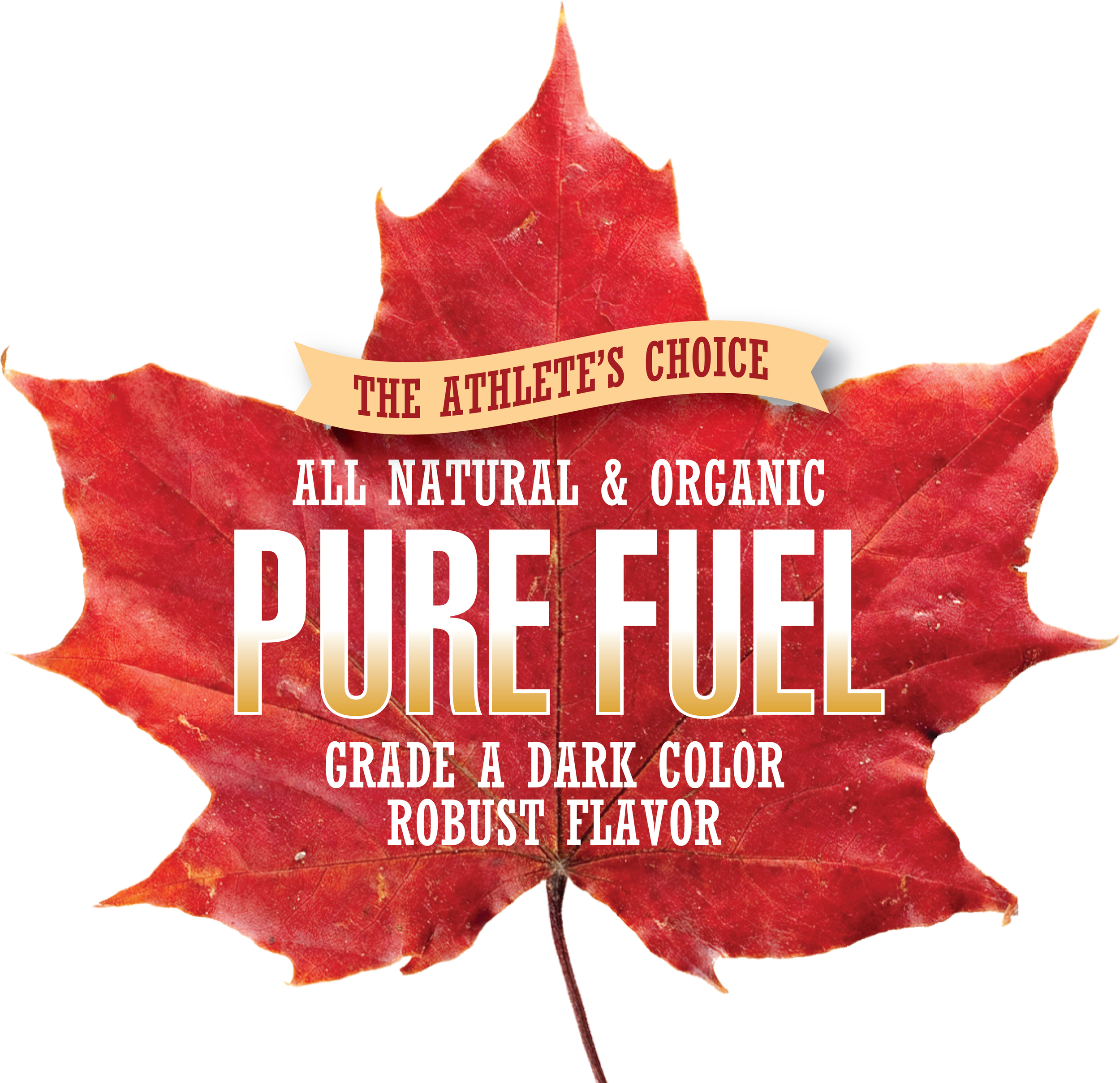 Pure Fuel logo.png