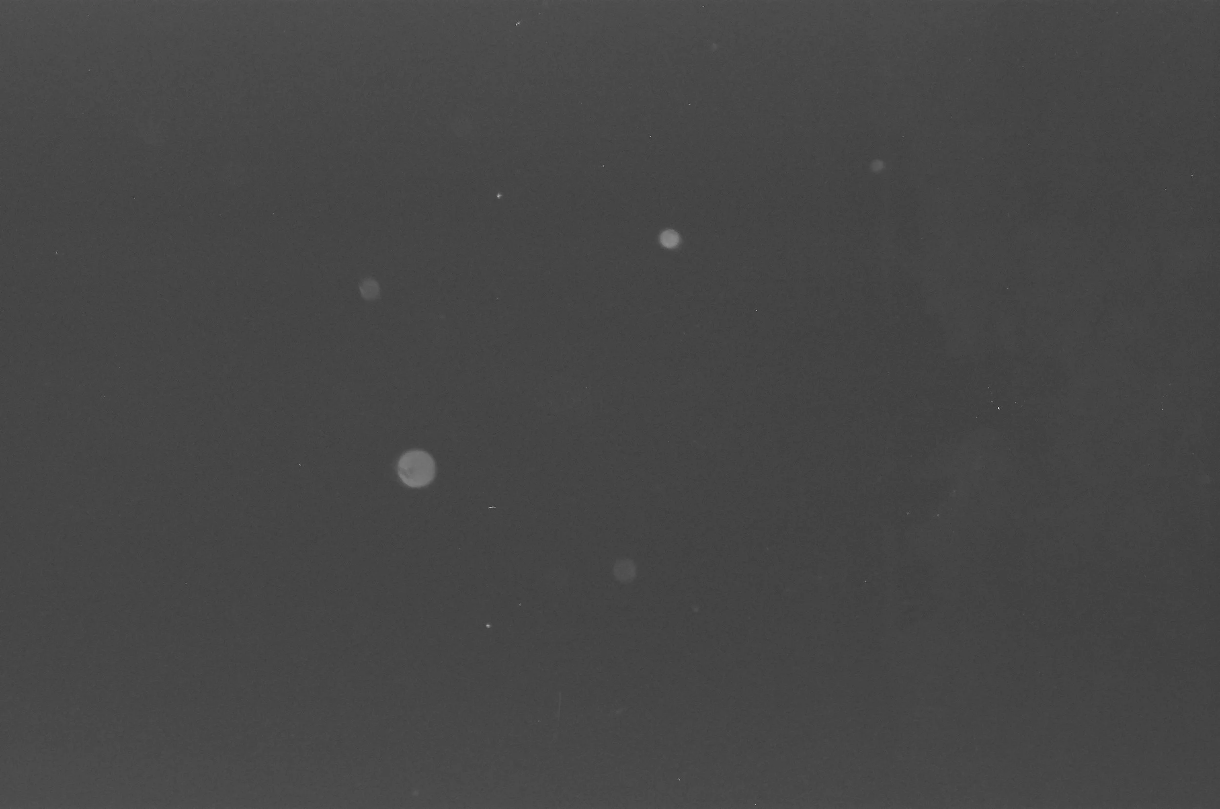 000641050010.jpg